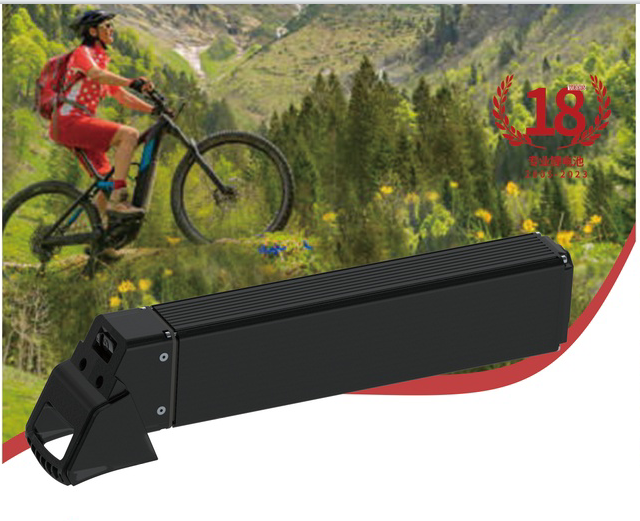 13S4P-48.1V 12.8(12.4)电动自行车电池